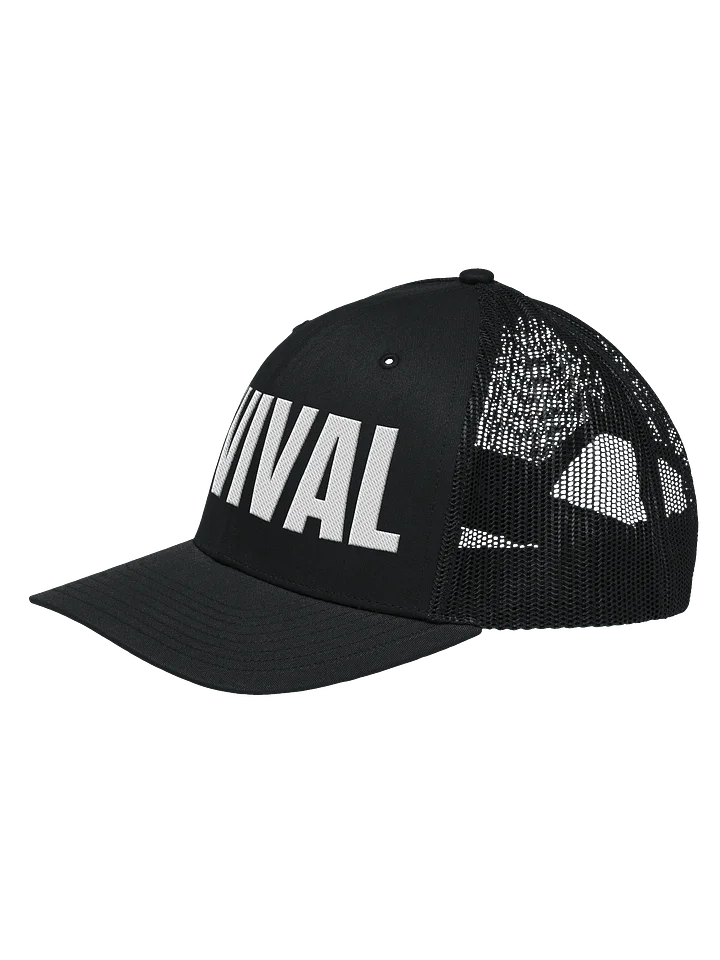 Revival Hat product image (13)