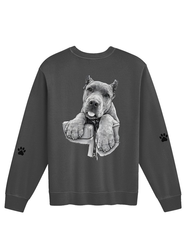 Corso Culture Vintage Pigment Dyed Sweatshirt product image (2)