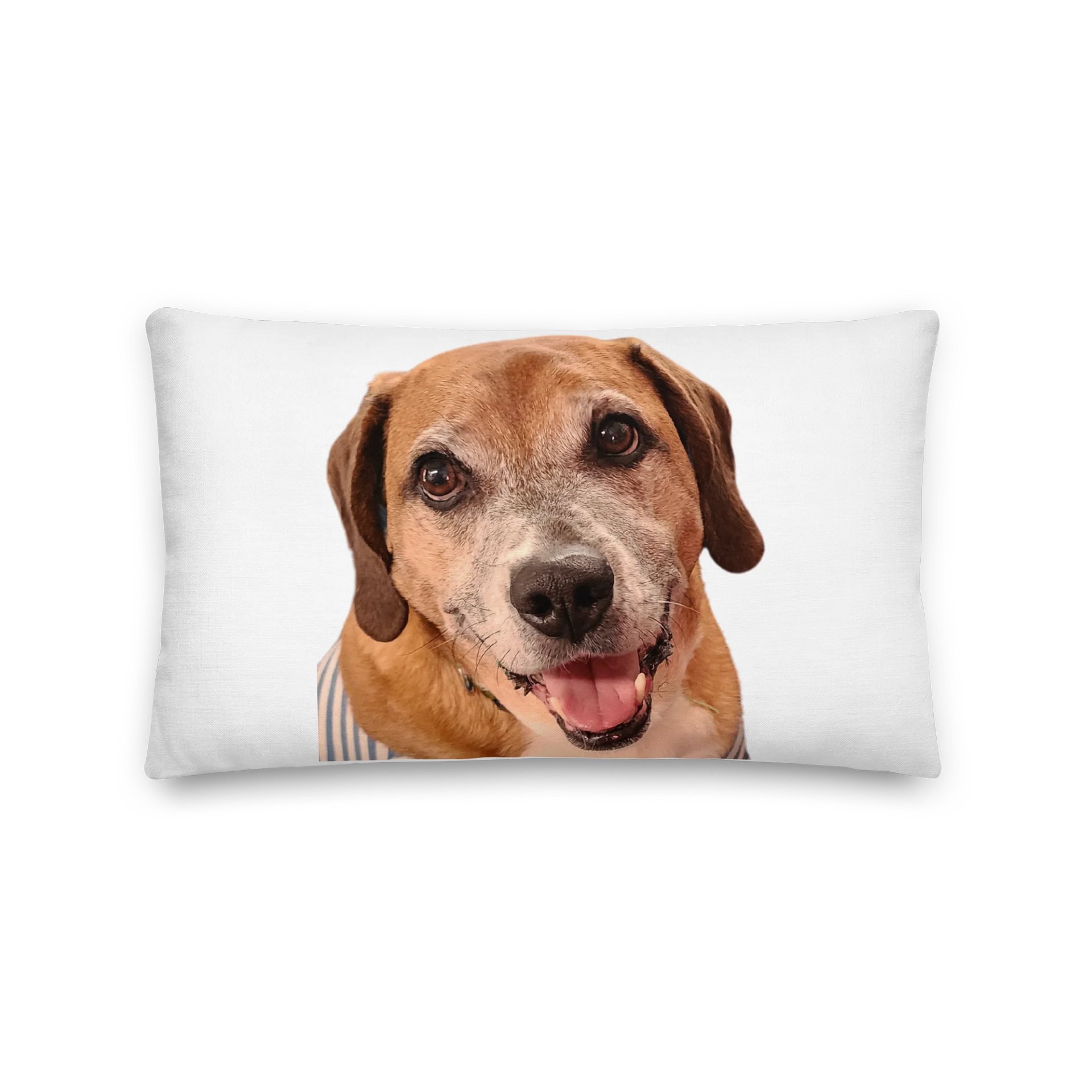 Louie Love & Judge Pillow product image (2)