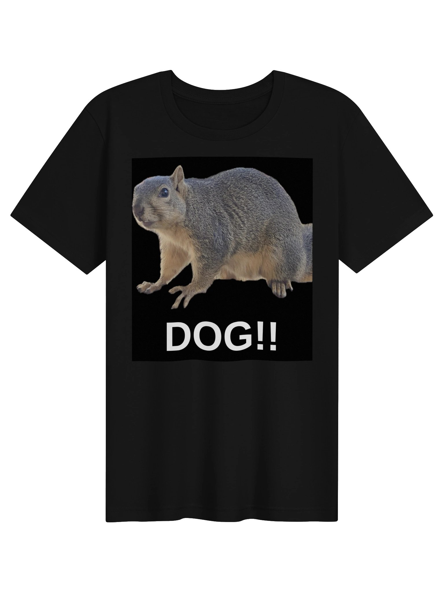 Squirrel Dog Tee In the Bone Zone product image (1)