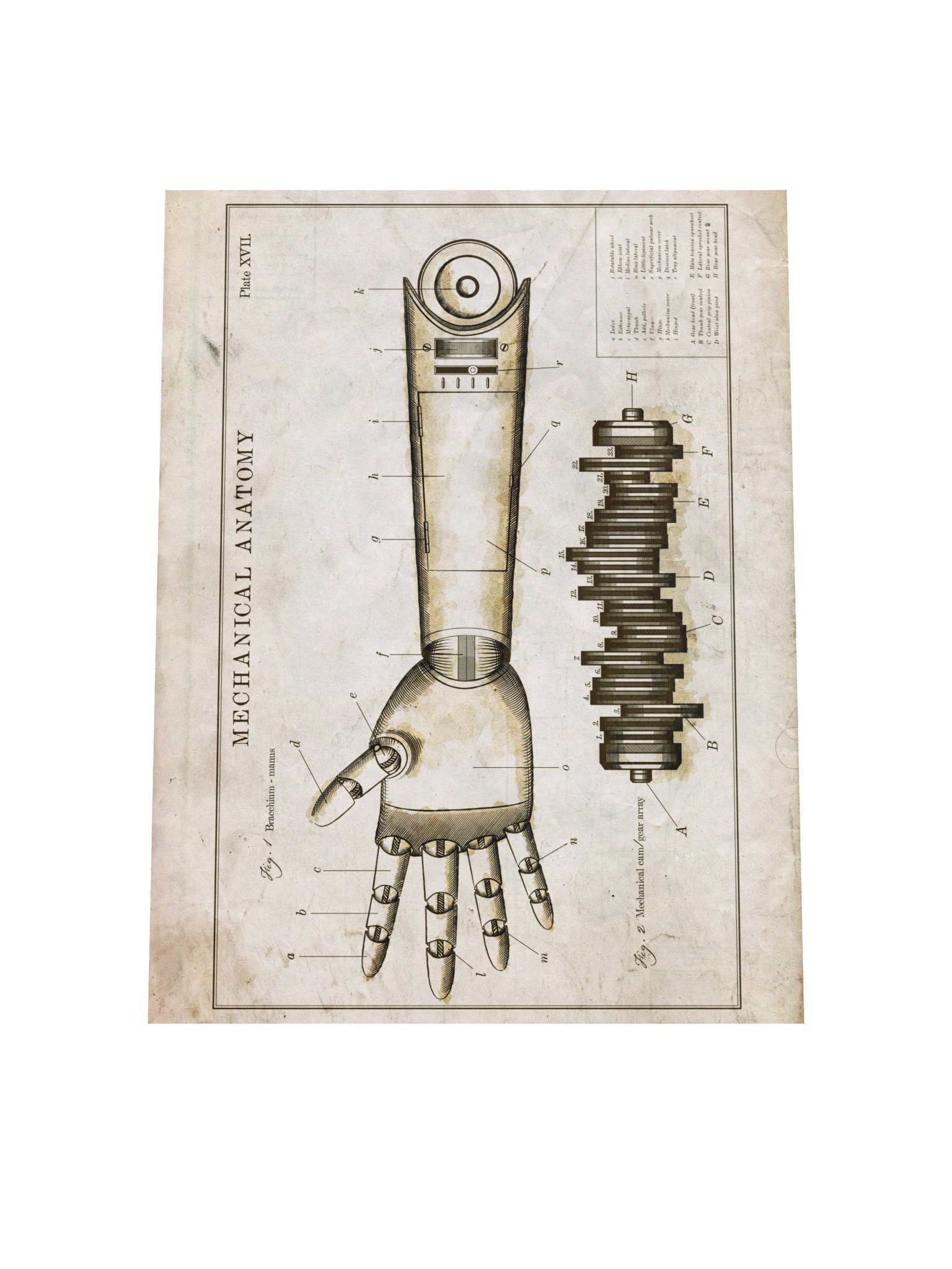 The Room - Mechanical Arm A product image (4)