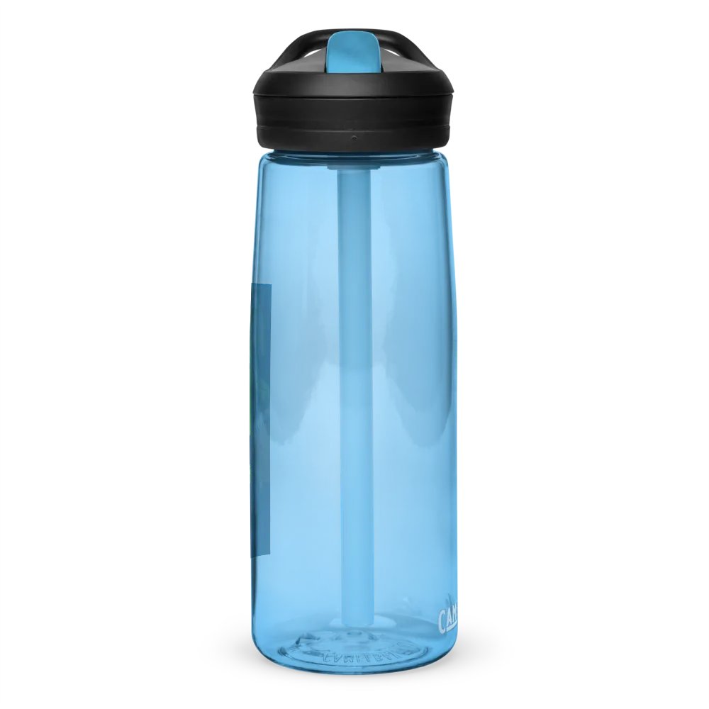 Dino bottle product image (2)