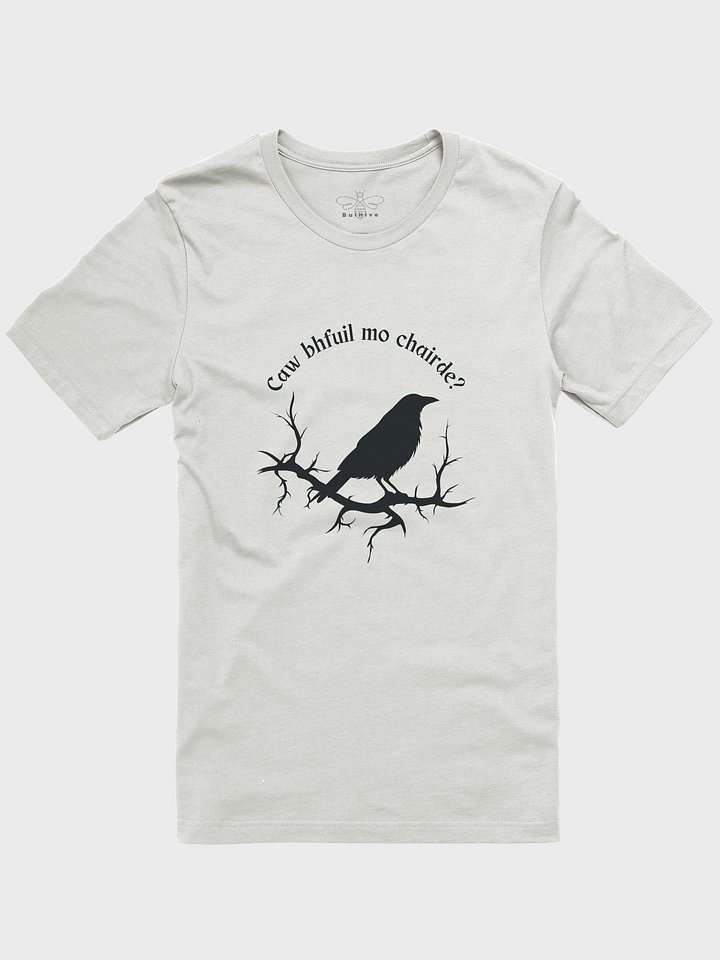 Caw bhfuil mo chairde? T-shirt product image (1)