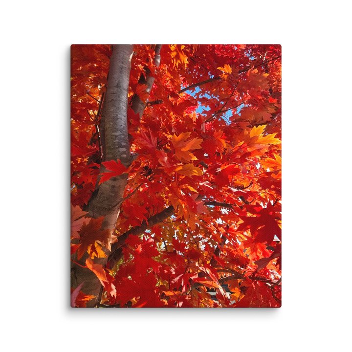Fall Tree Canvas Collection product image (1)