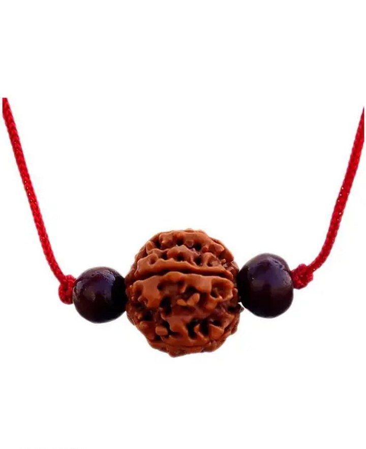 6 MUKHI RUDRAKSHA product image (1)