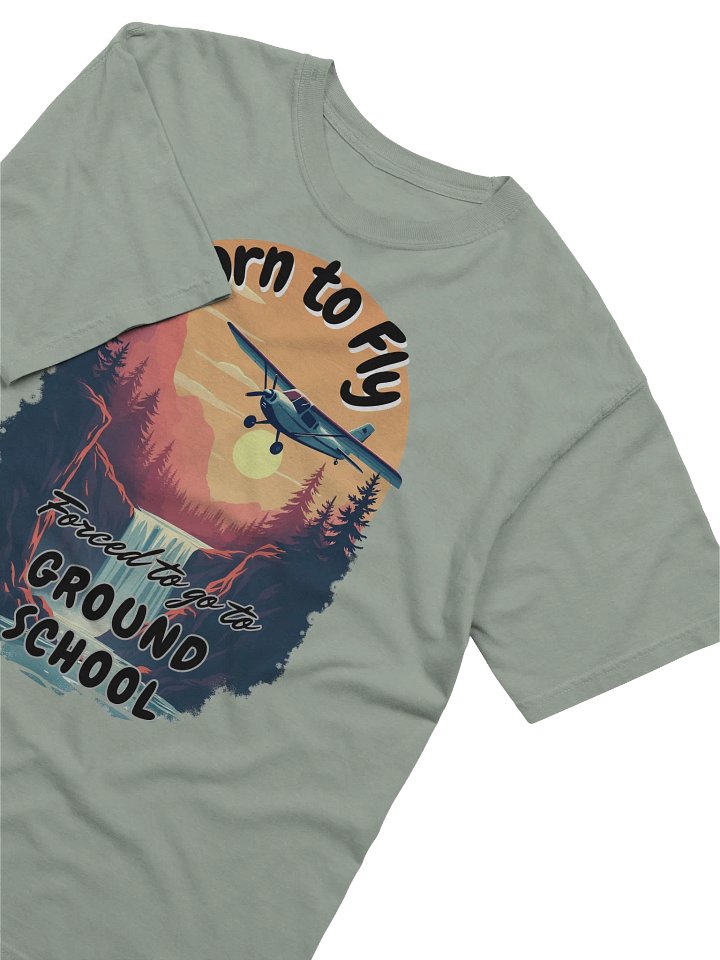 Born to Fly forced to go to ground school product image (39)