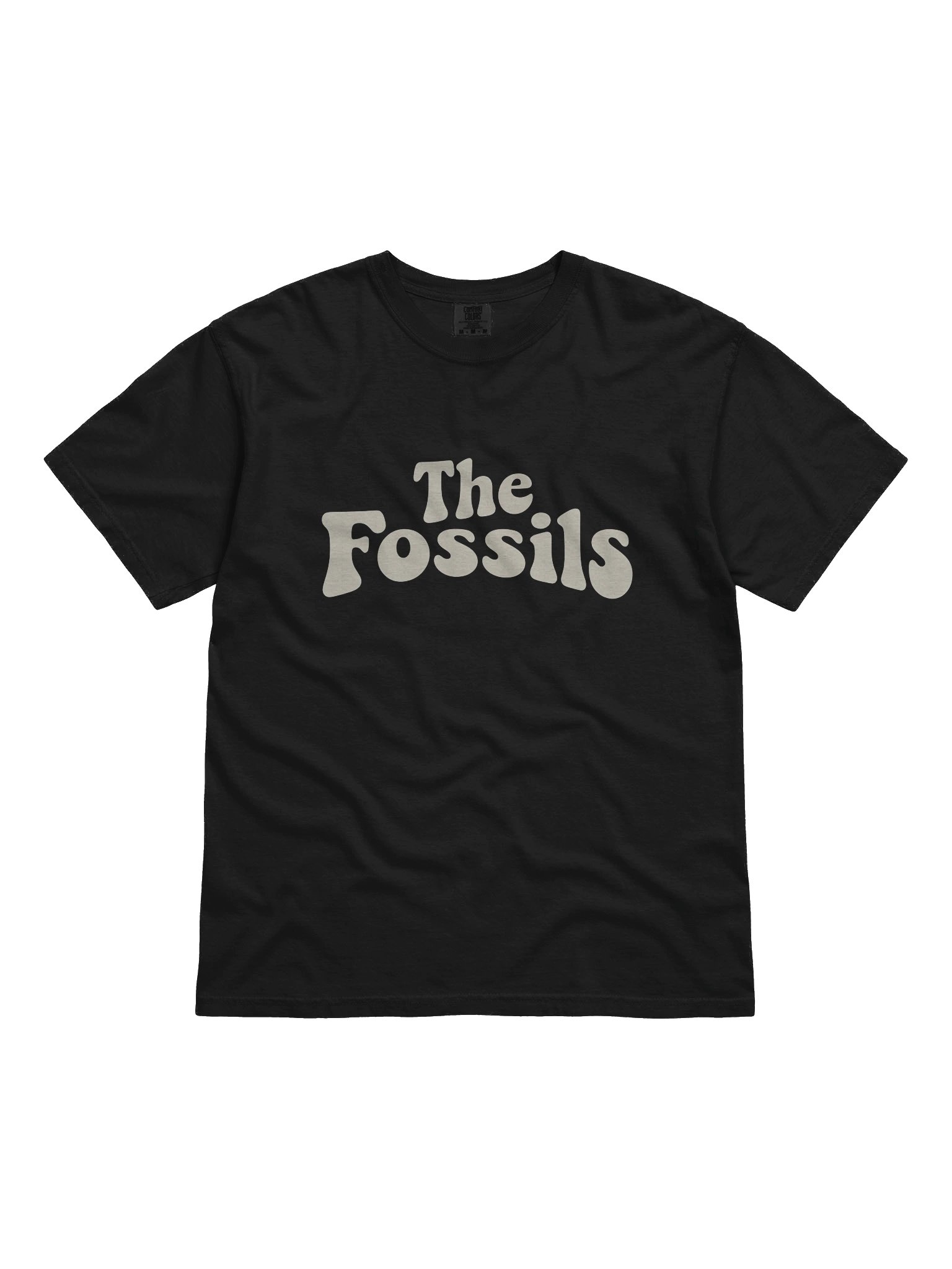 The Fossils Vintage Tee product image (1)
