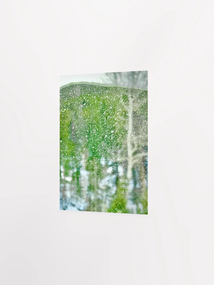 Abstract RMNP Trees in the Snow product image (3)