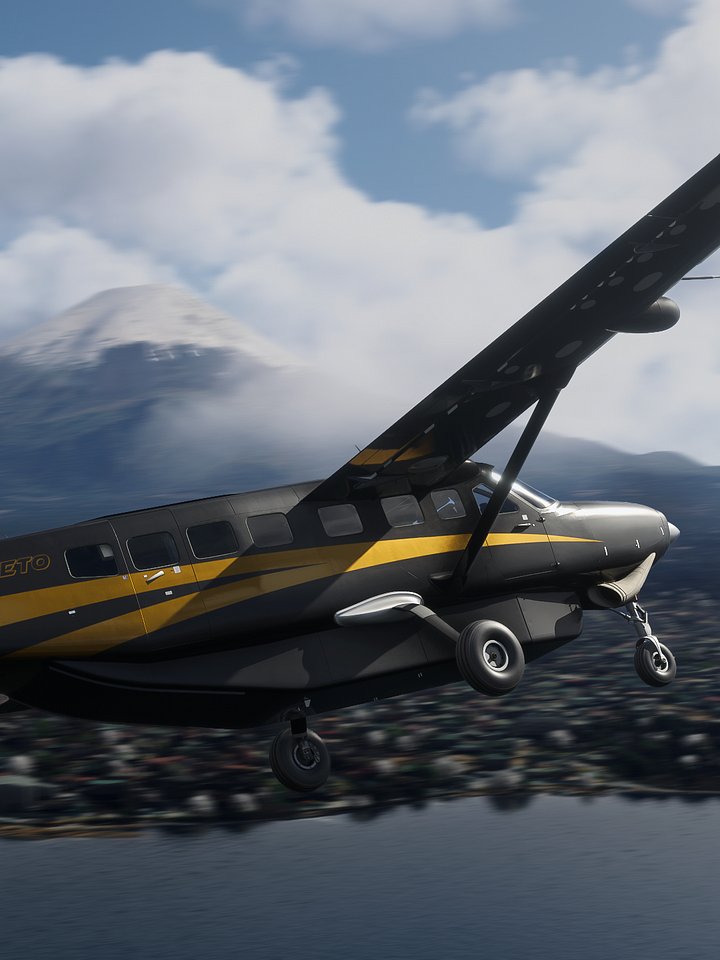 C208B EX VIP Livery Pack product image (1)