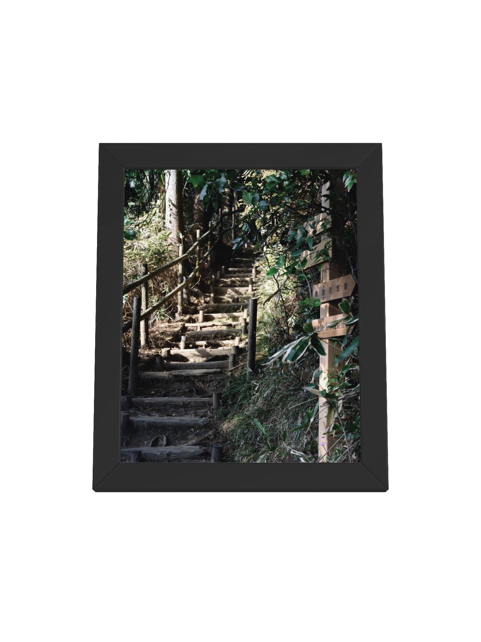 Japanese Forest product image (2)