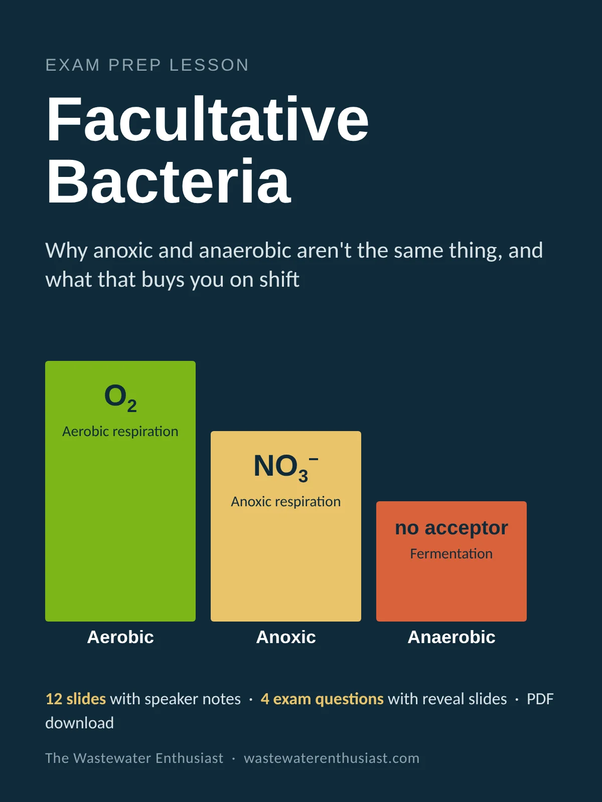 Facultative Bacteria Presentation Slides product image (1)