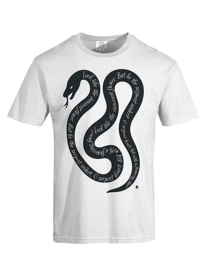 Serpent's Verse Heavyweight Tee product image (1)