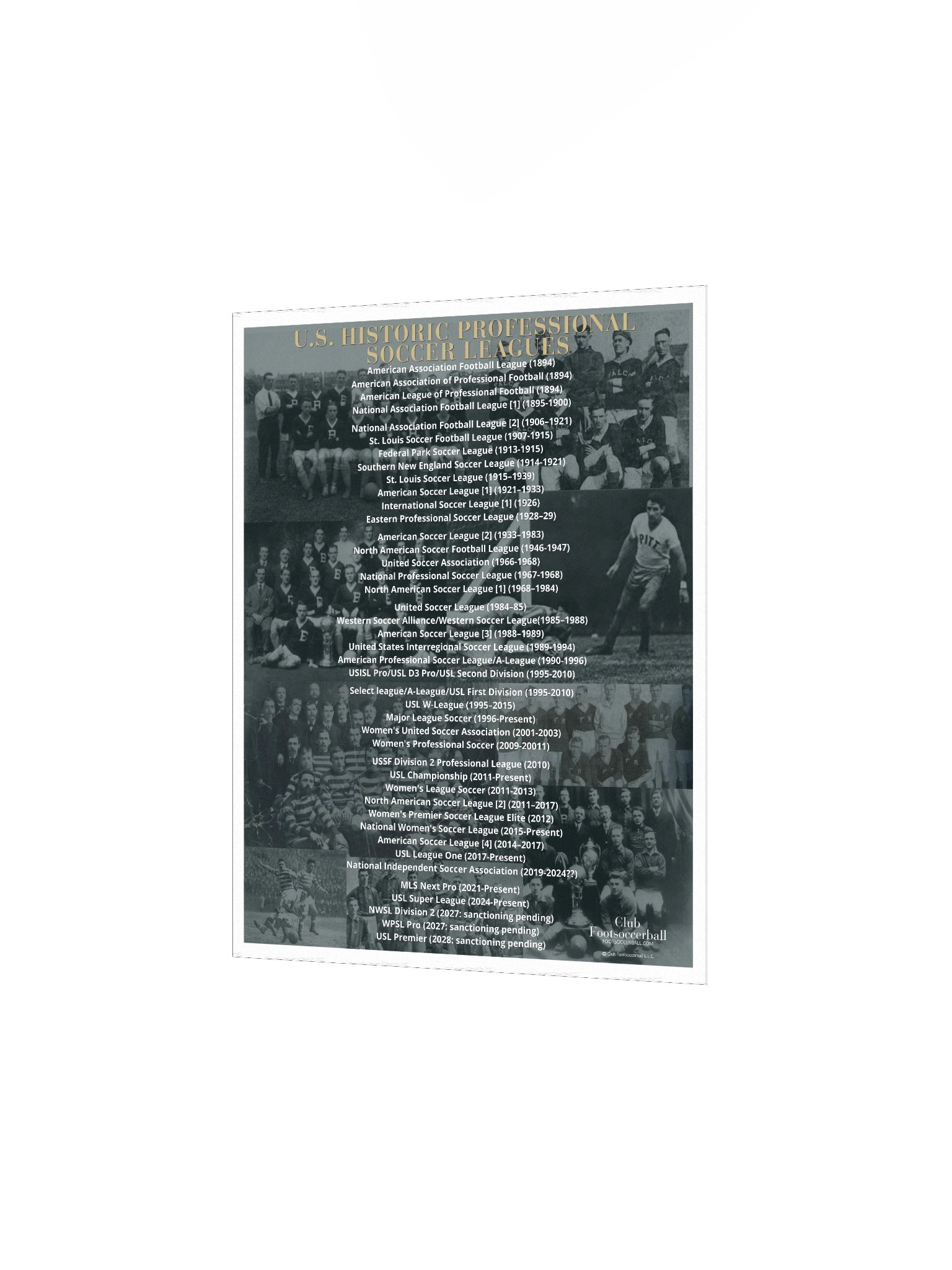 U.S. Historic Pro Leagues Poster product image (5)