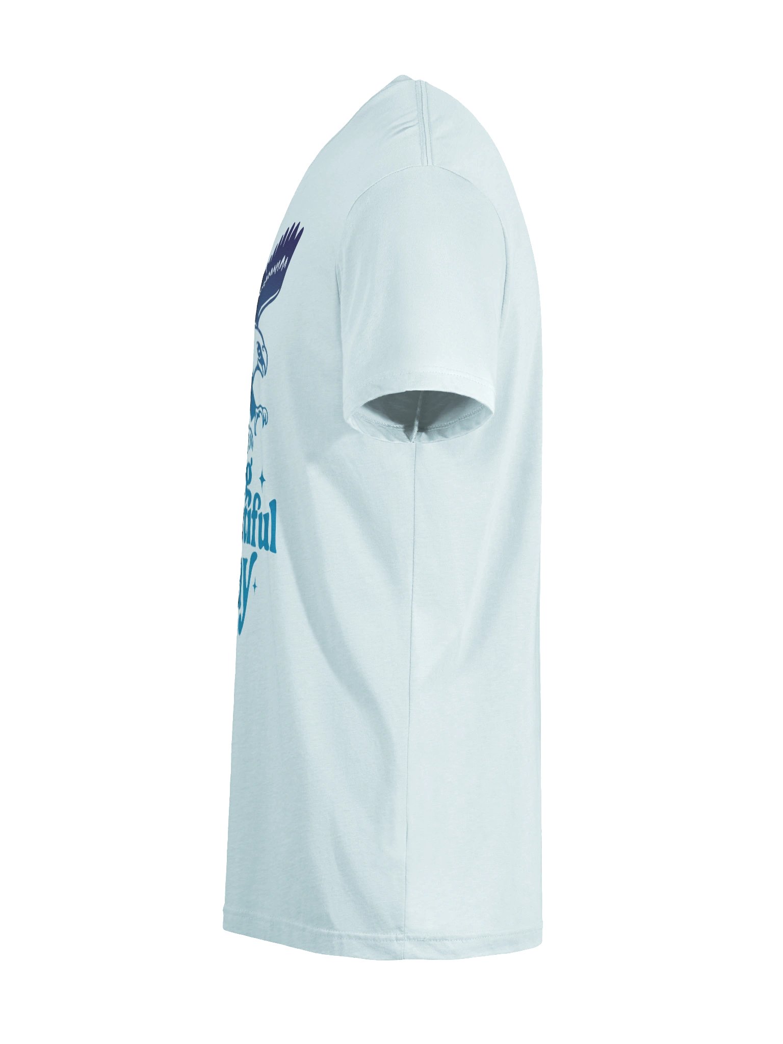 Soaring Big Beautiful Day Tee | Brand Next Level product image (17)