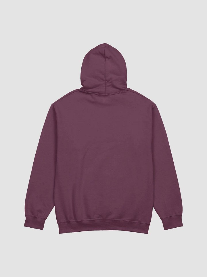 PVD Hoodie w/ Double-Lined Hood product image (2)