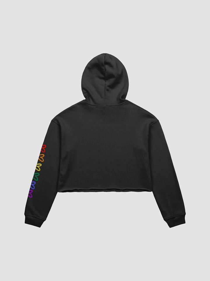 Sounds Gay Crop Hoodie product image (2)
