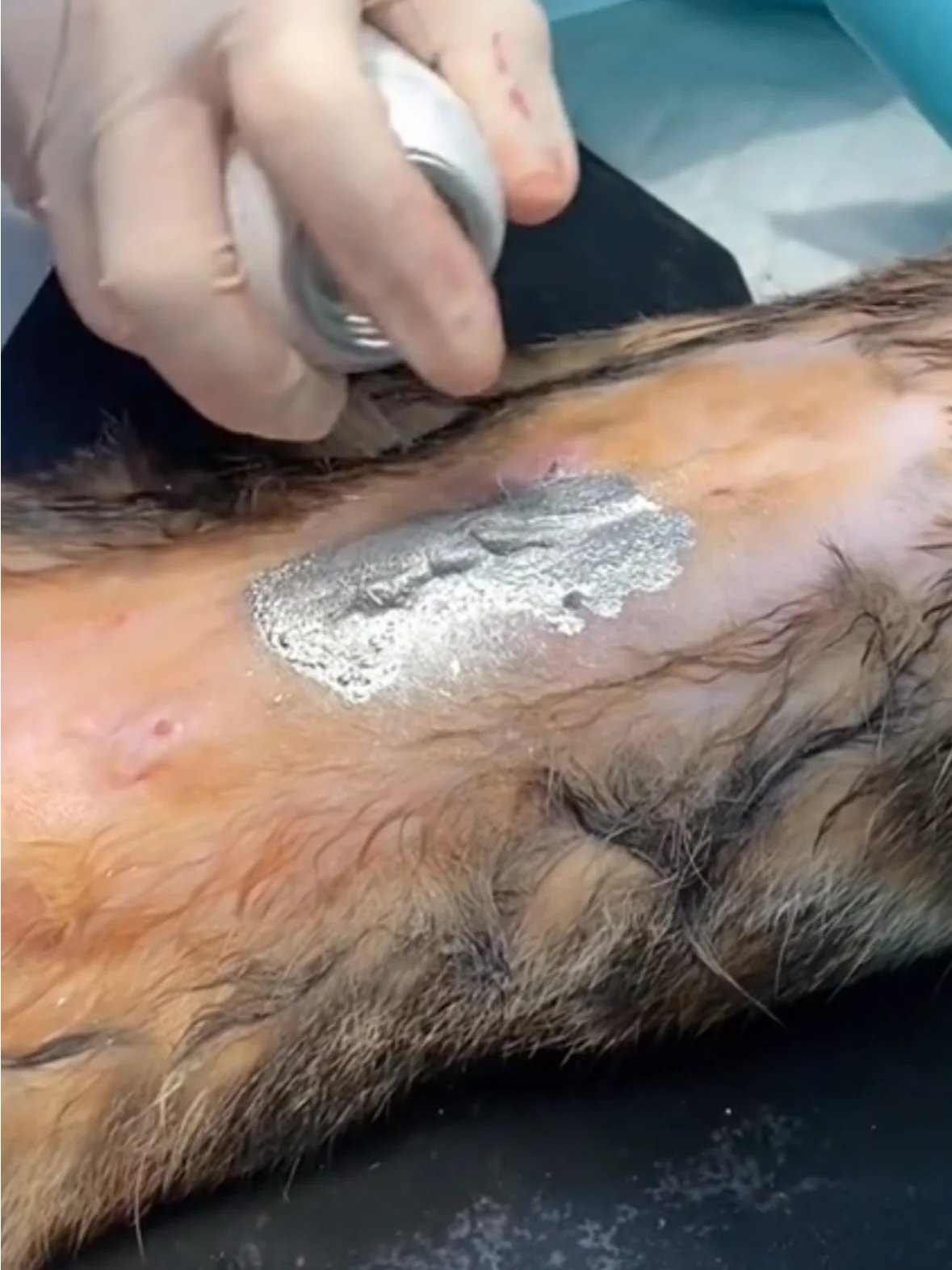 Aluminum Wound Spray Bandage product image (1)