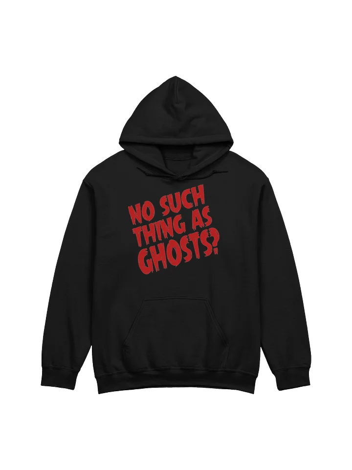 No Such Thing As Ghosts Large Logo Hoodie product image (1)