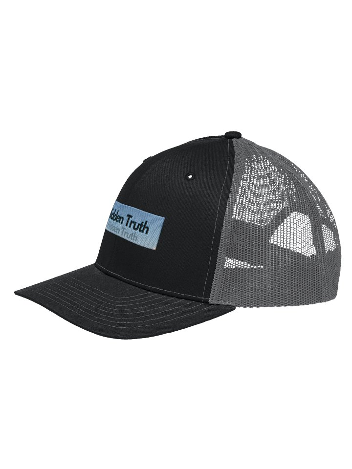 Hidden Truth Hidden Truth Split Color Cap product image (2)