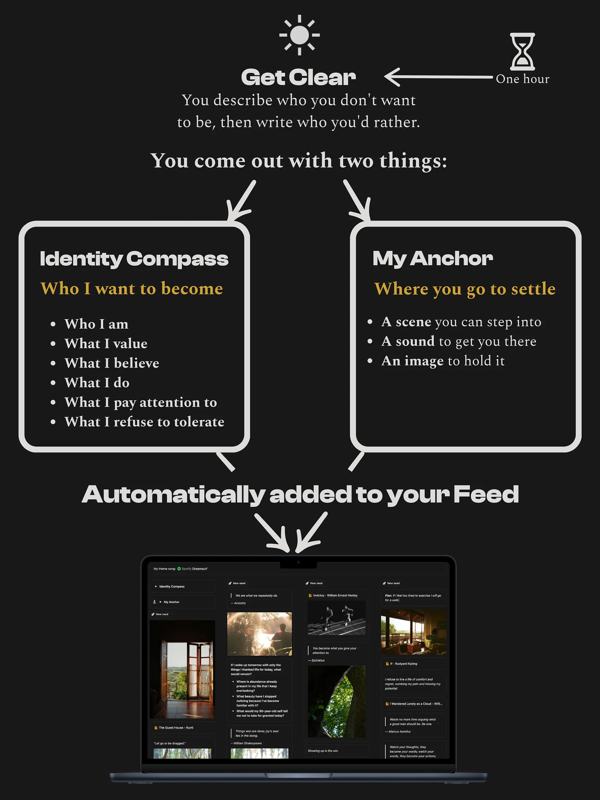Identity Feed product image (5)