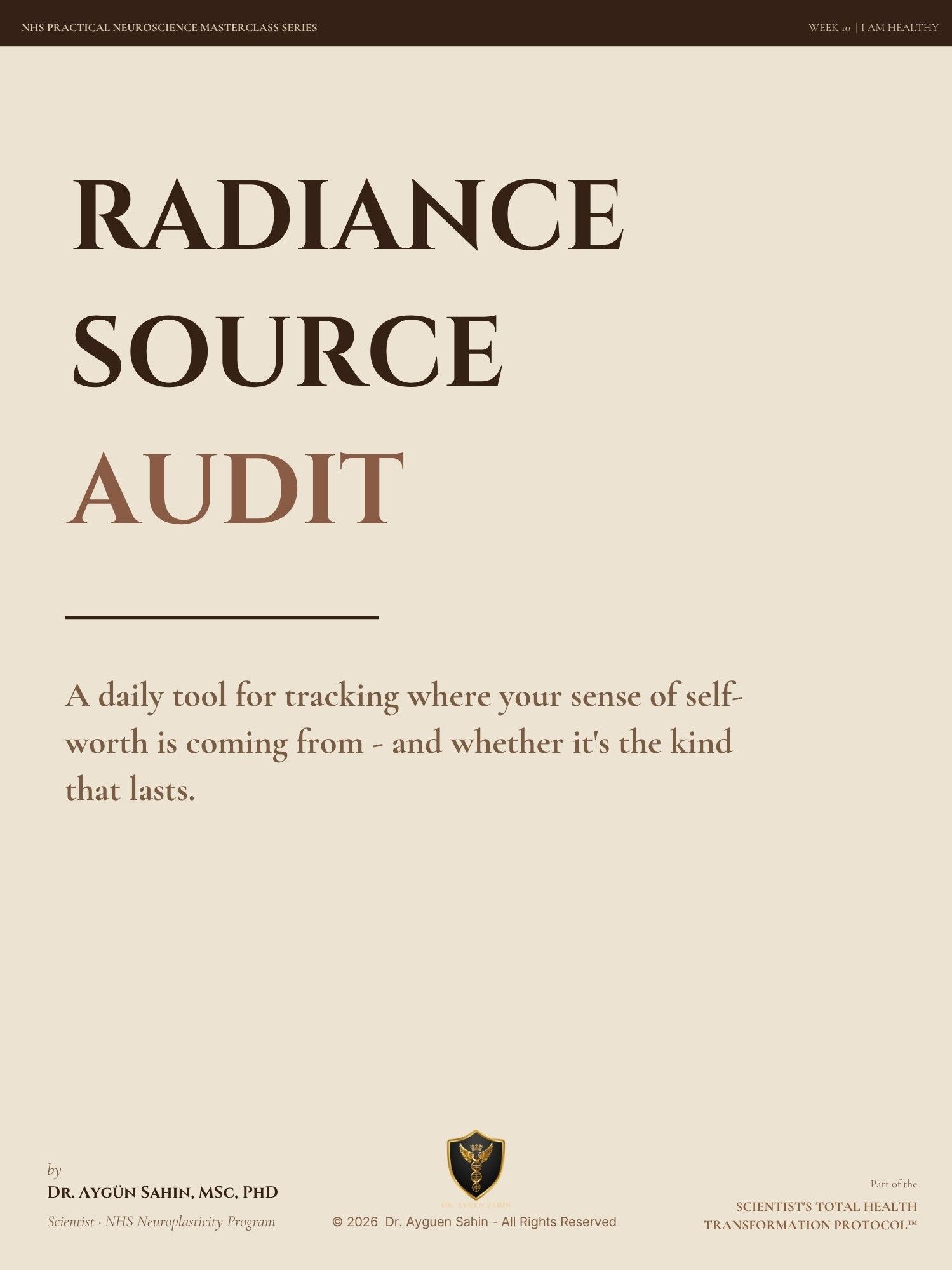 Radiance Source Audit product image (1)
