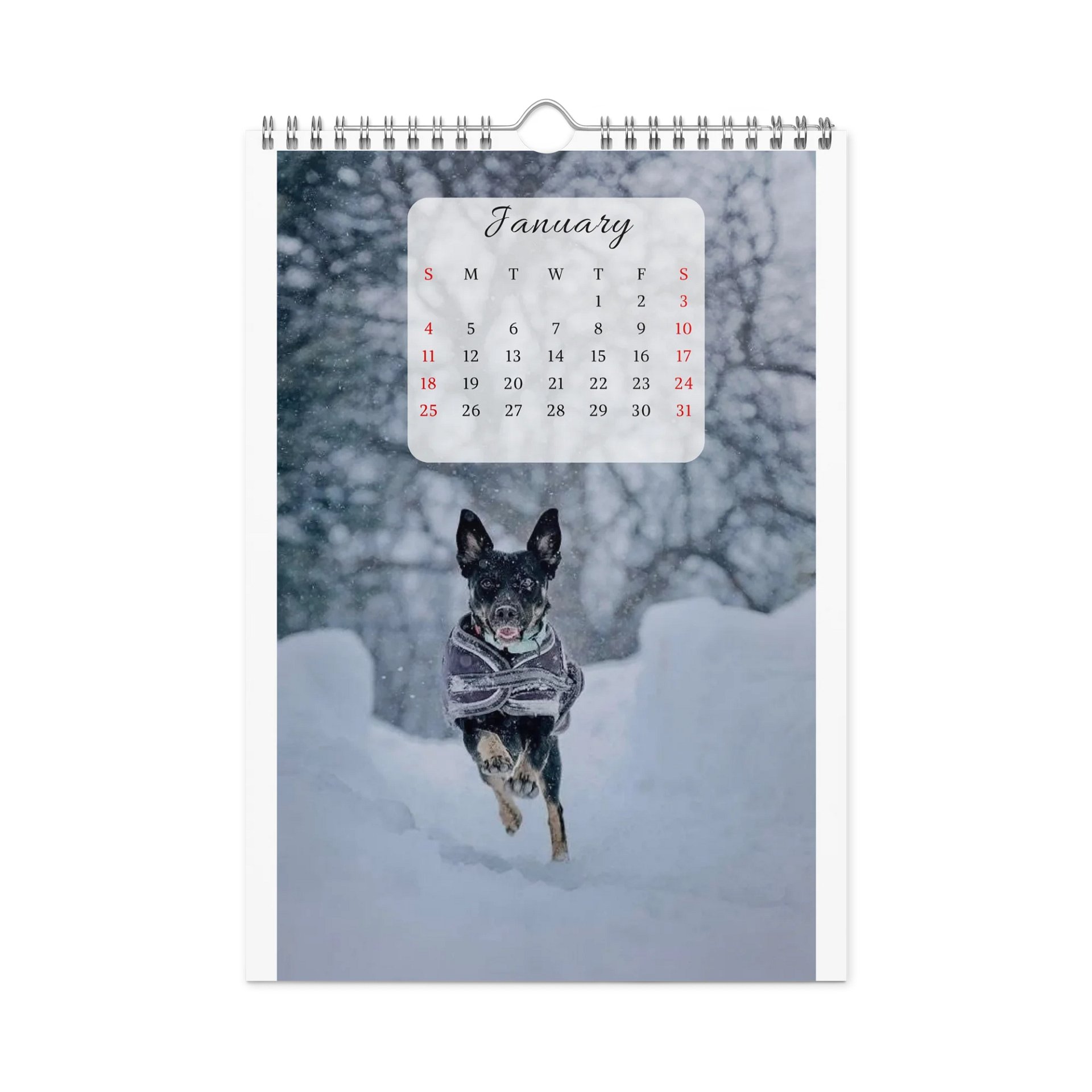 Isla Animals Calendar 2026 product image (7)