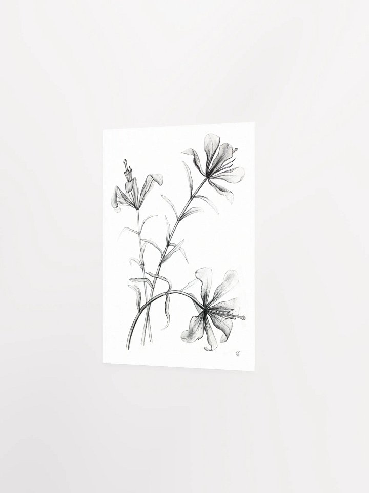 Lily Botanical Drawing Poster - Wild Elegant Flowers product image (2)