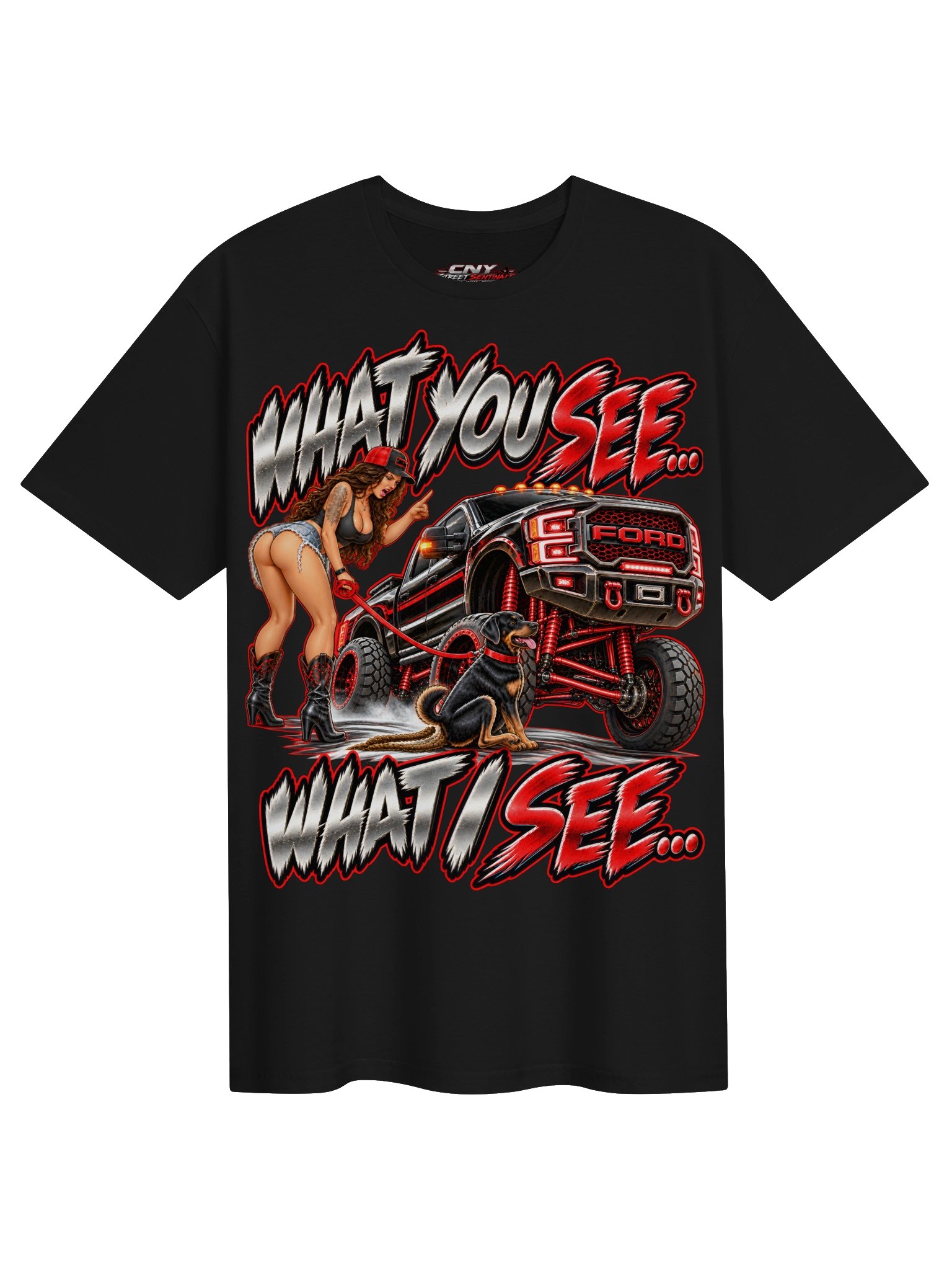 TRUCK WHAT I SEE product image (1)