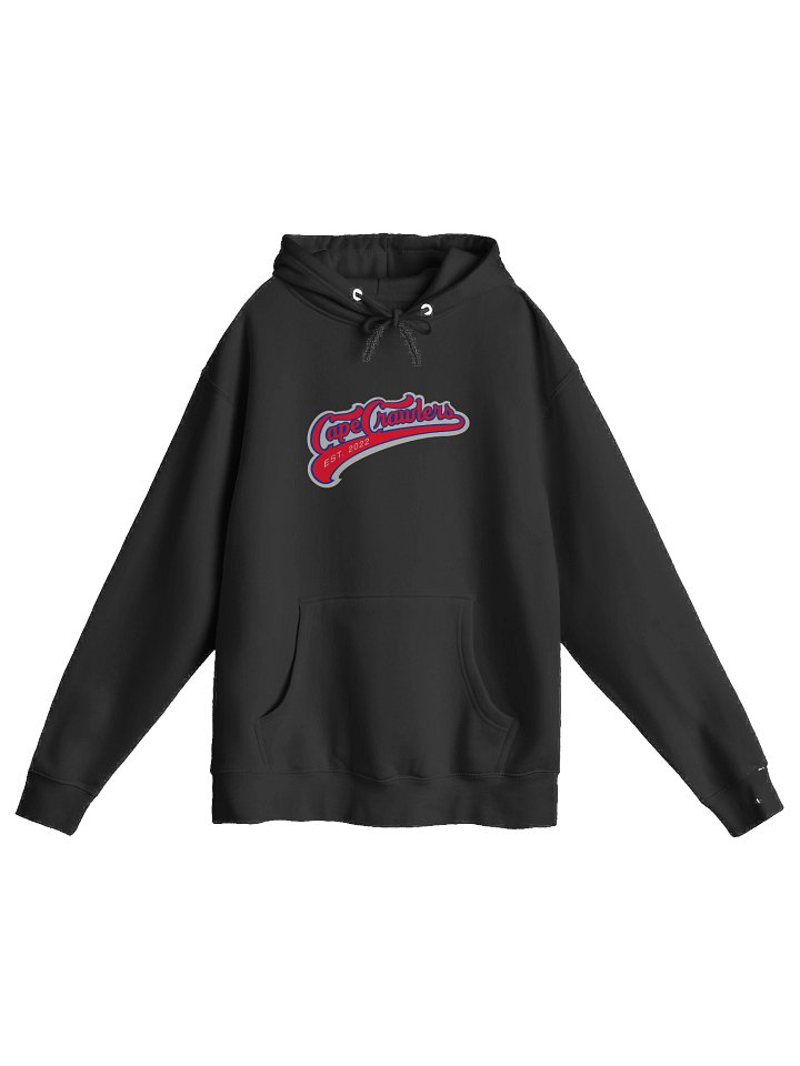 Varisty Logo (Red) Hoodie product image (1)