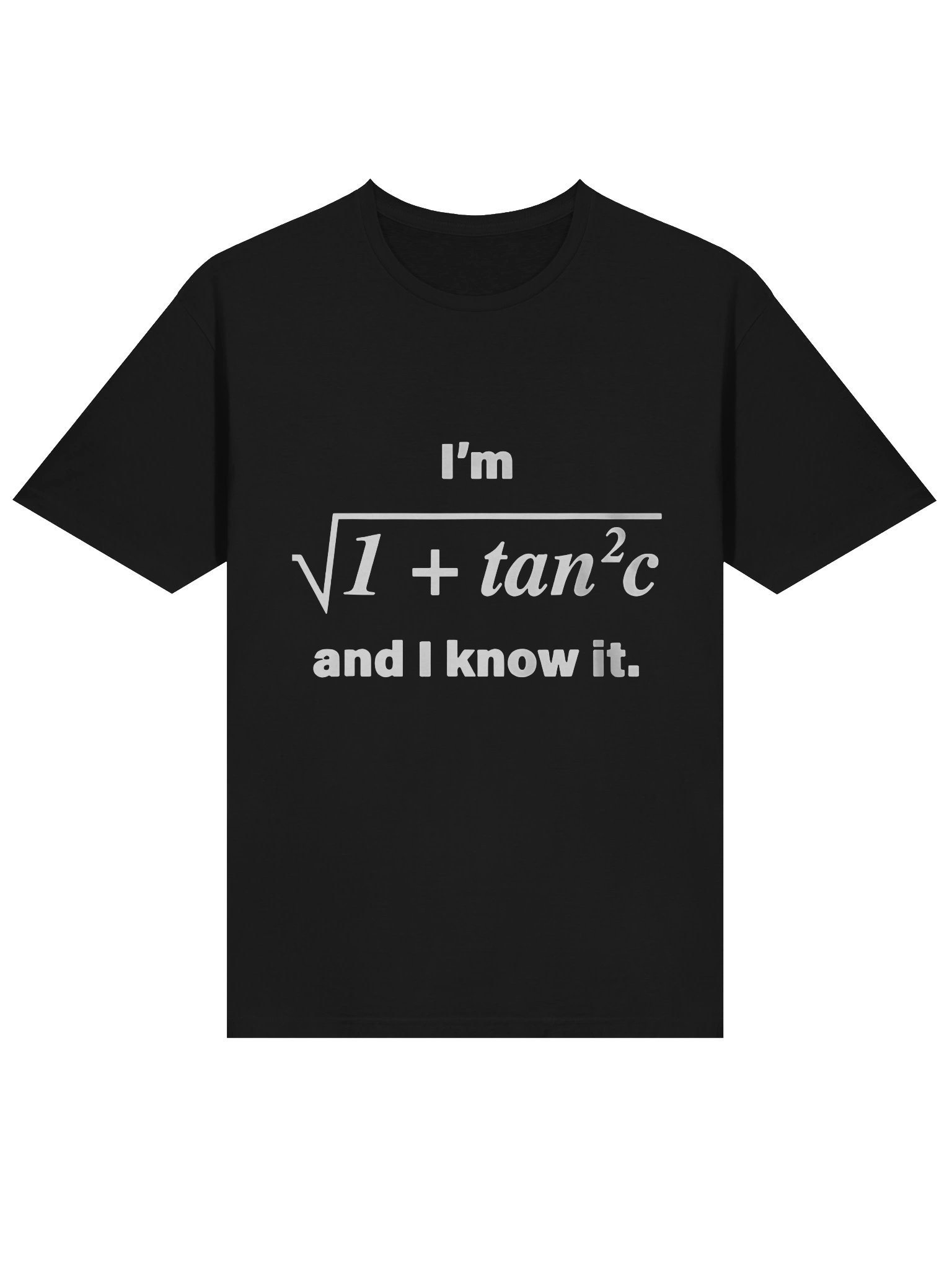 I'm sexy and I know it shirt product image (2)
