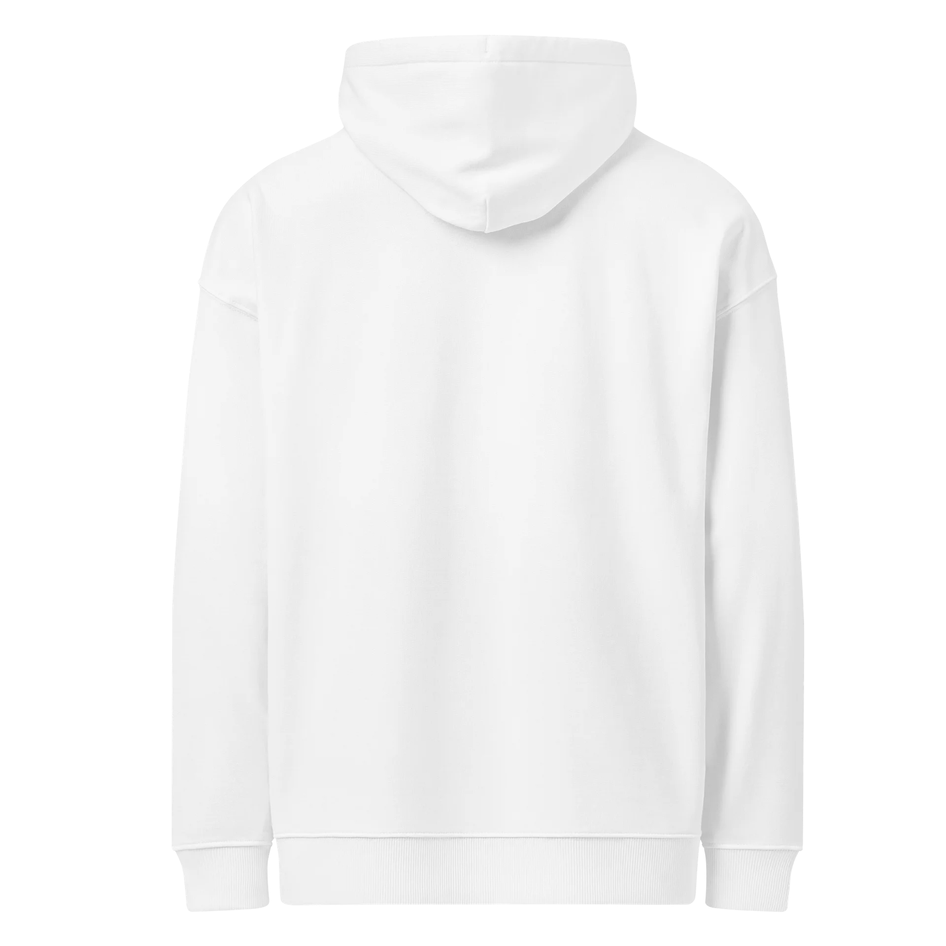 Hoodie Unisexe Oversize Coton Bio Poids Lourd - ALCHIMISTAE product image (4)