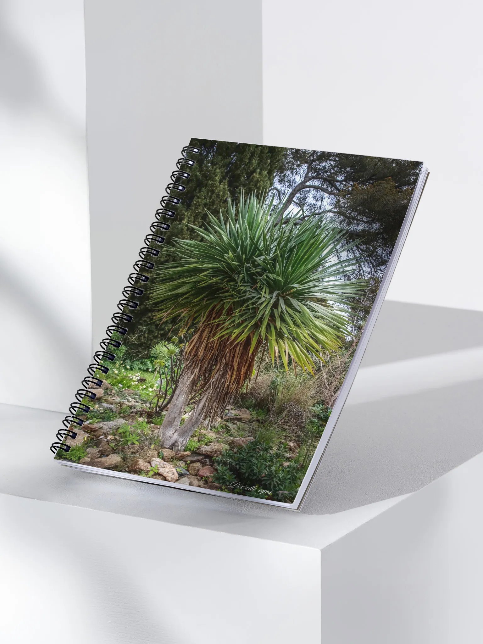 📓 Notebook Collection PURE – Jardin du Rayol – Le Veilleur de Pierres product image (3)
