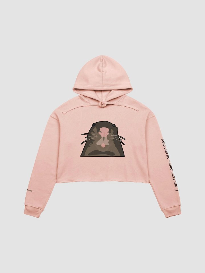 Rats can be influencers too :) Cropped Hoodie product image (1)