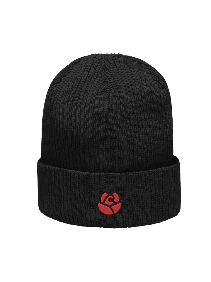 Atlantis Organic Ribbed Beanie product image (4)