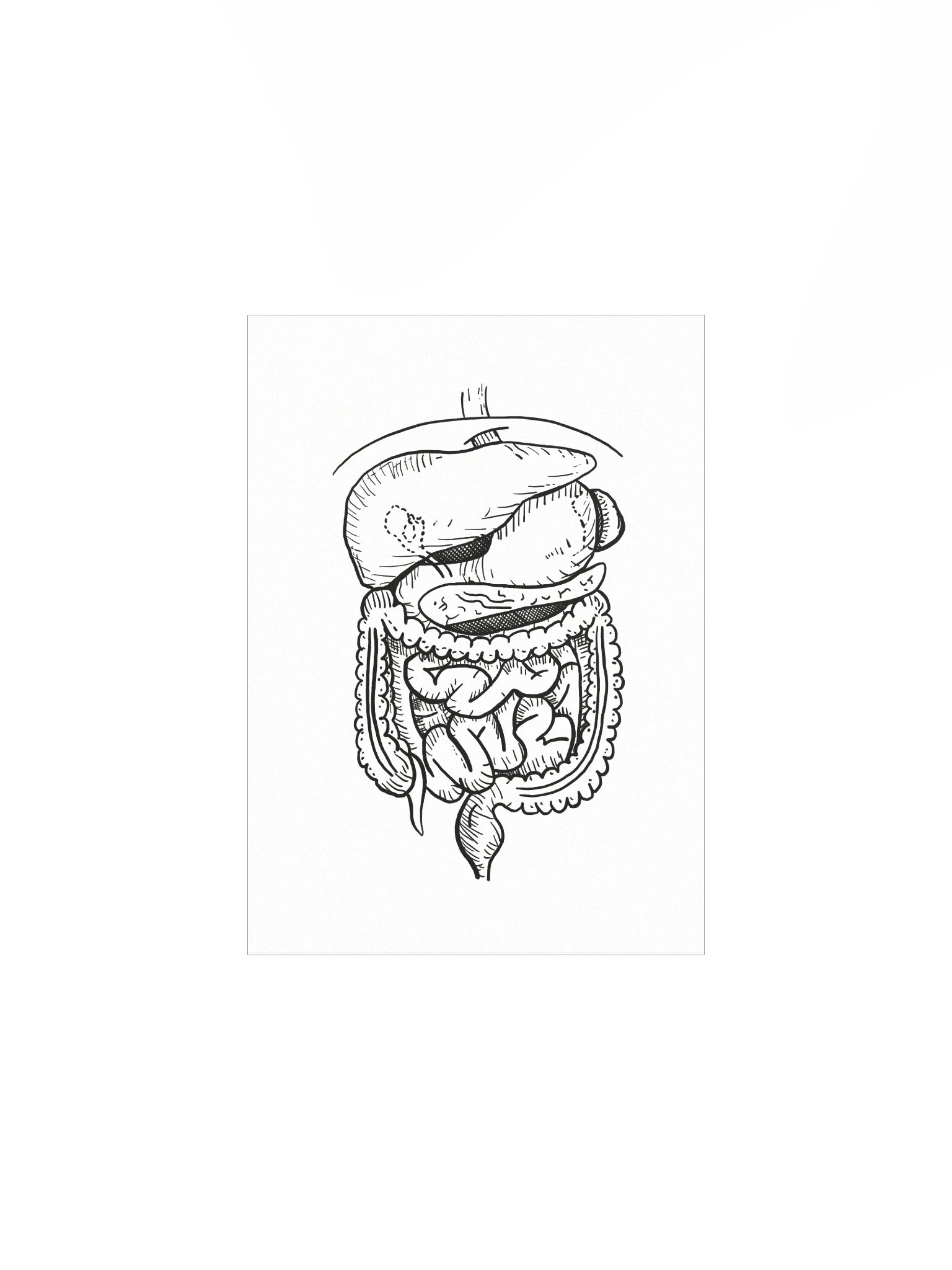 GI Tract Matte Poster product image (1)