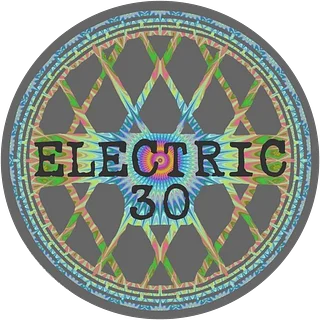 Electric 30 Official Swag