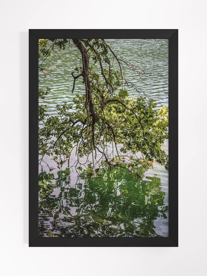 Print Fine Art - Reflections of Serenity - Lac de Carcès, France product image (2)
