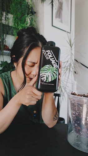 @planthavensupply asked if I could help spread the word about their Lush Growth Duo which is a bundle of their aroid mix and ...