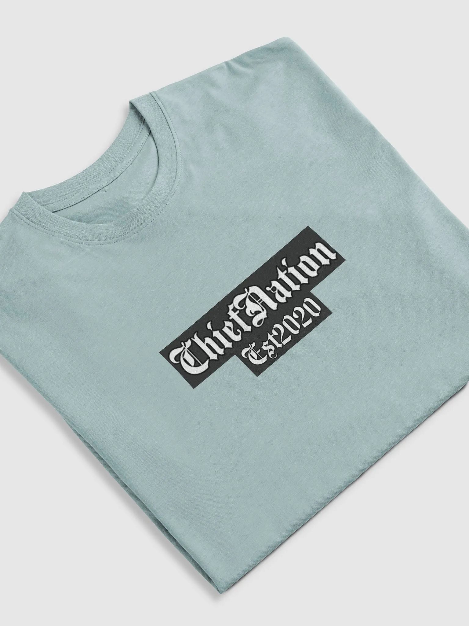 Native Identity Statement Tee ChiefNation Est2020 product image (27)