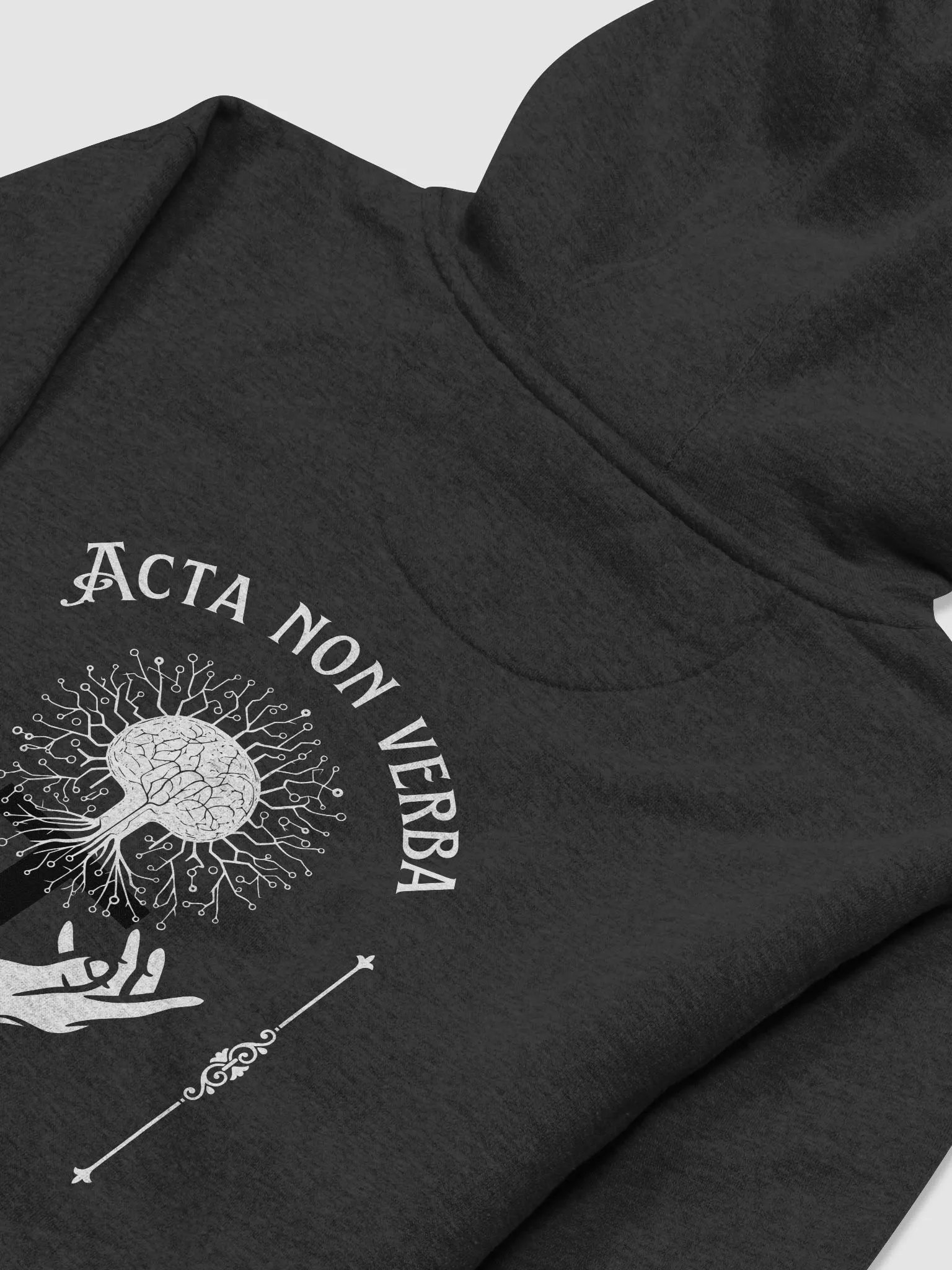 ACTA NON VERBA - Bittensor Hoodie product image (4)