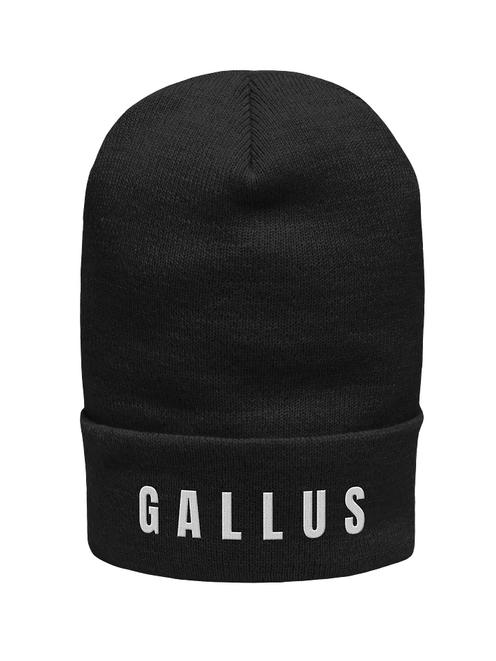 Gallus Bold Beanie product image (1)