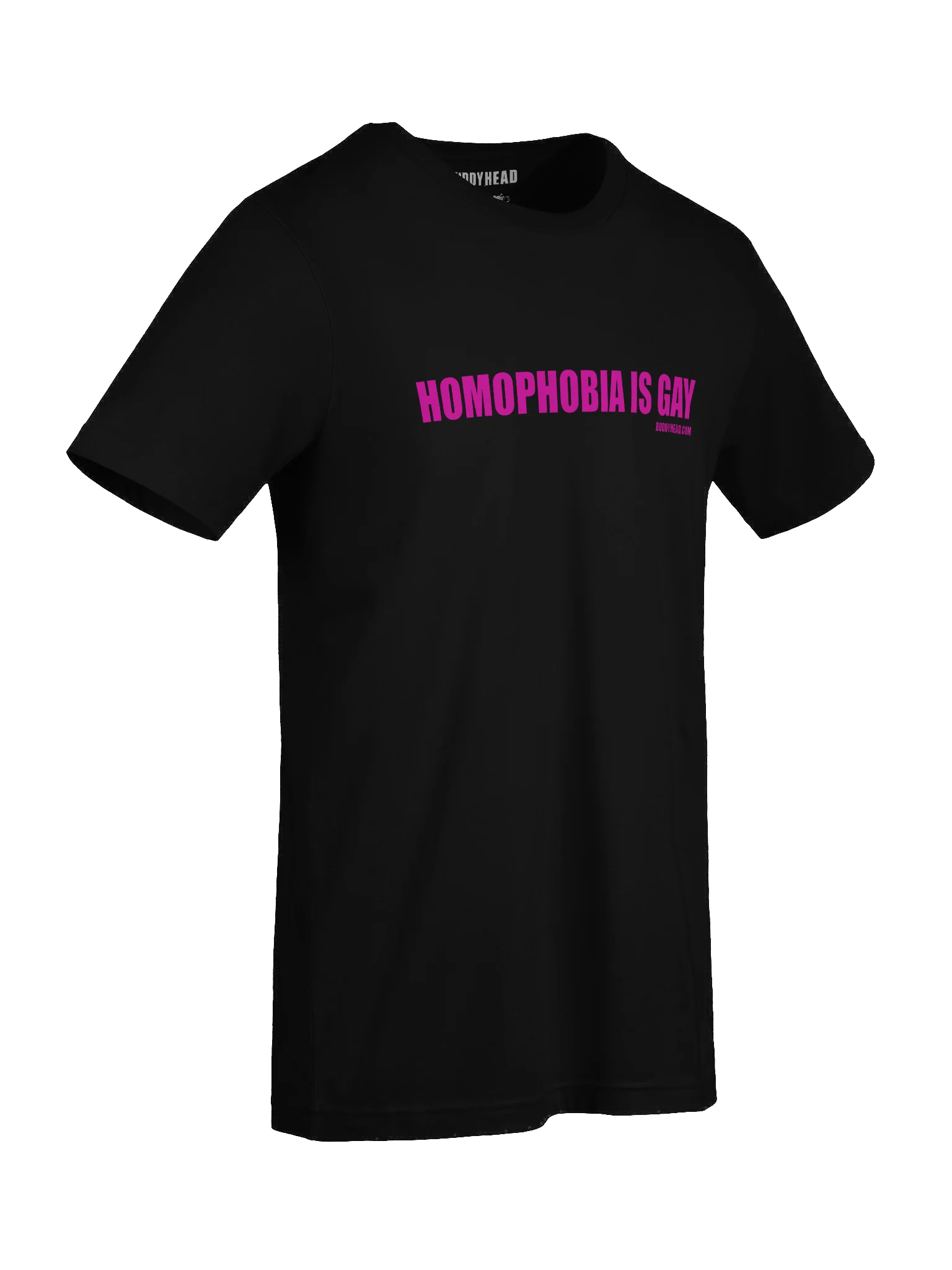 Homophobia Is Gay tee product image (44)