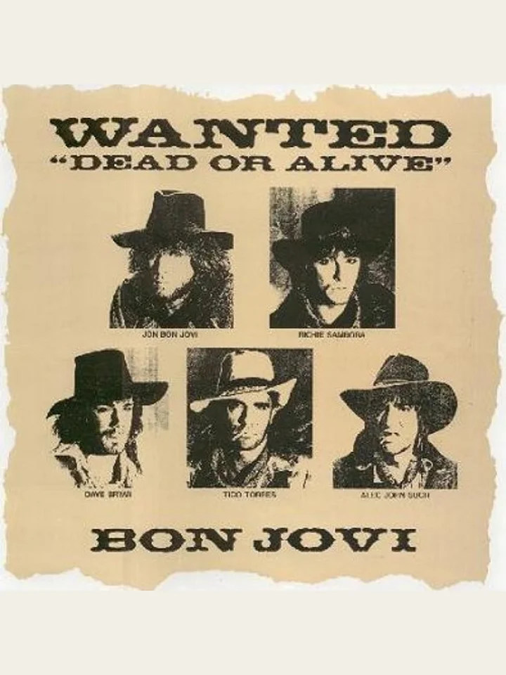 Wanted Dead or Alive Tone Patch product image (1)