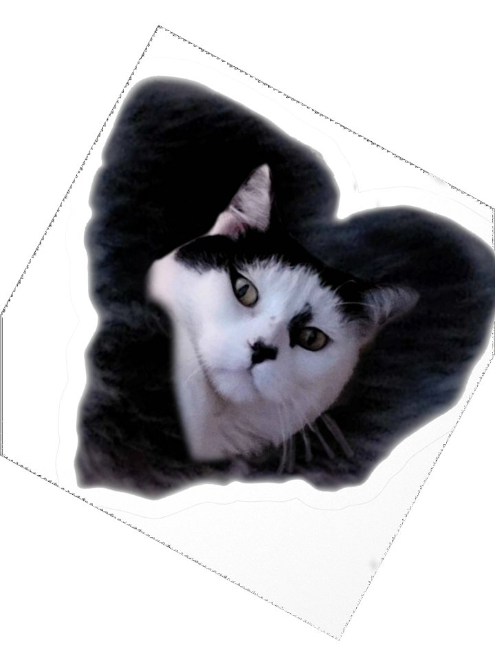 howlin42CATLUV Sticker product image (5)