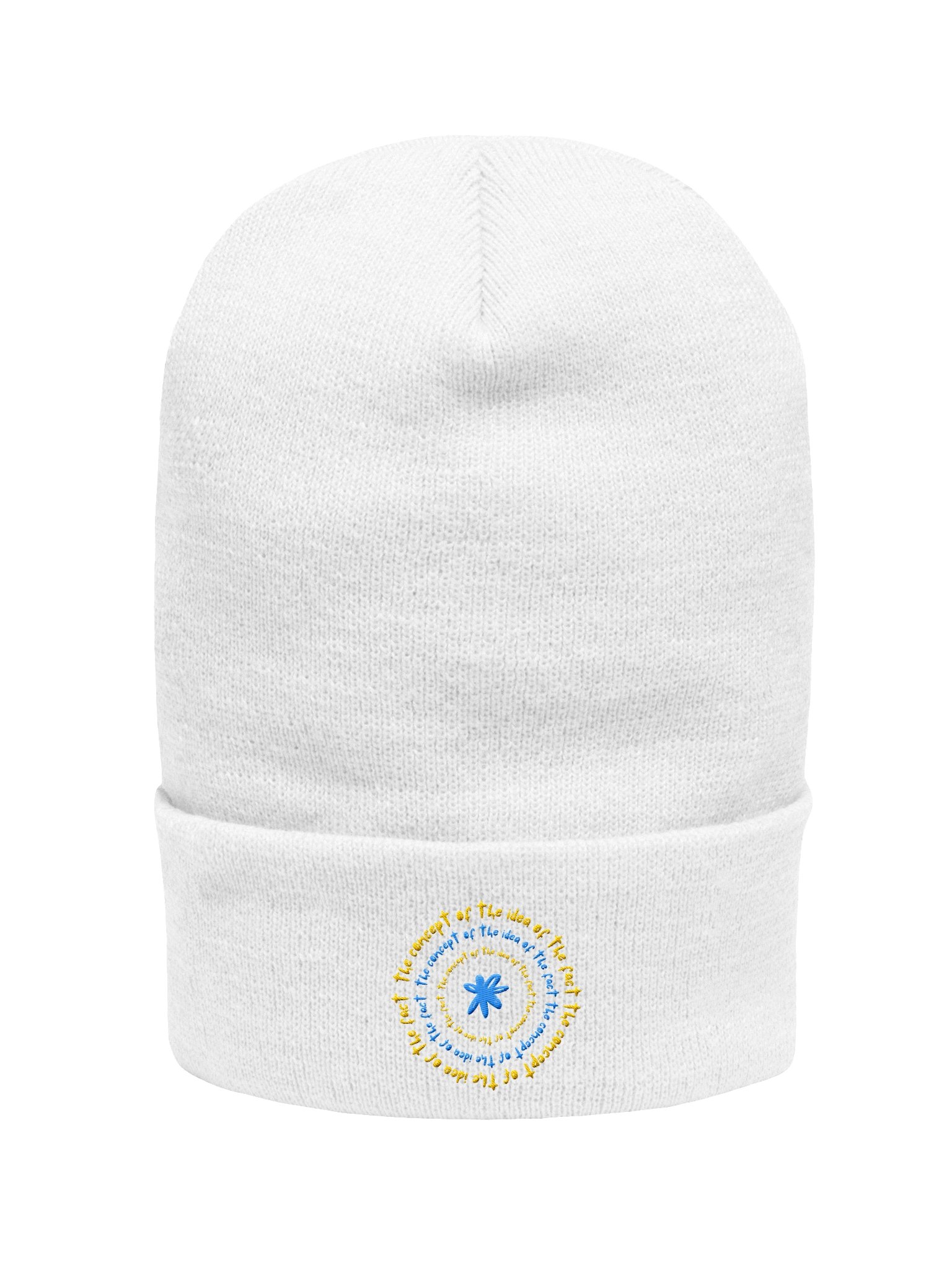 concept of a beanie product image (1)