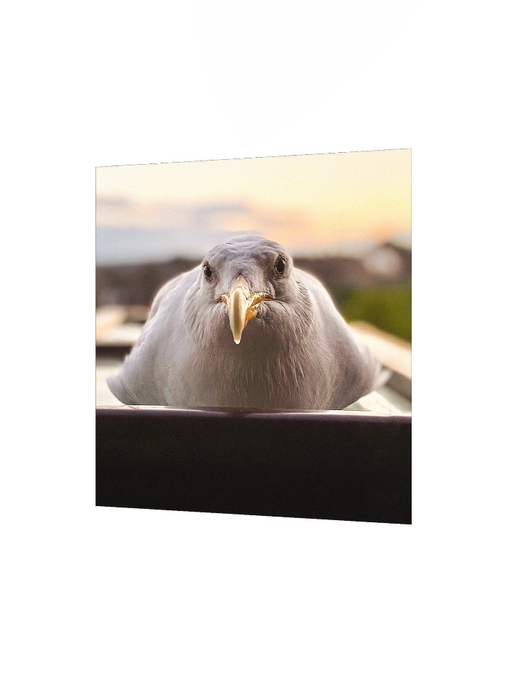 The Gorgeous Boy product image (2)