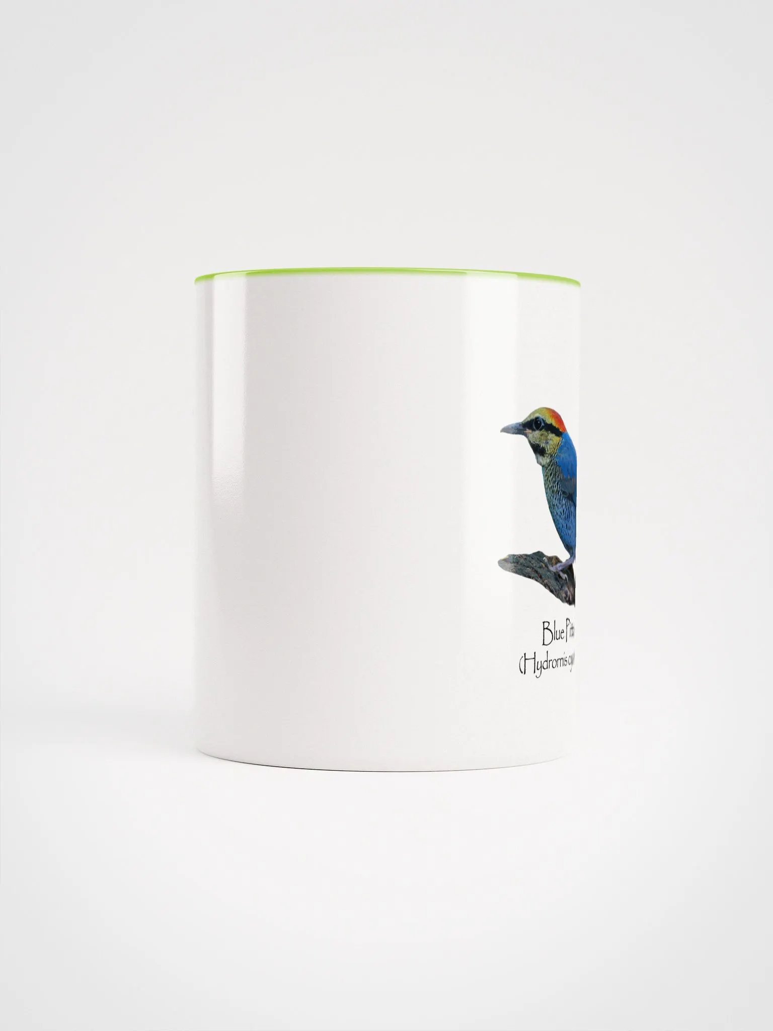 Blue Pitta mug product image (46)