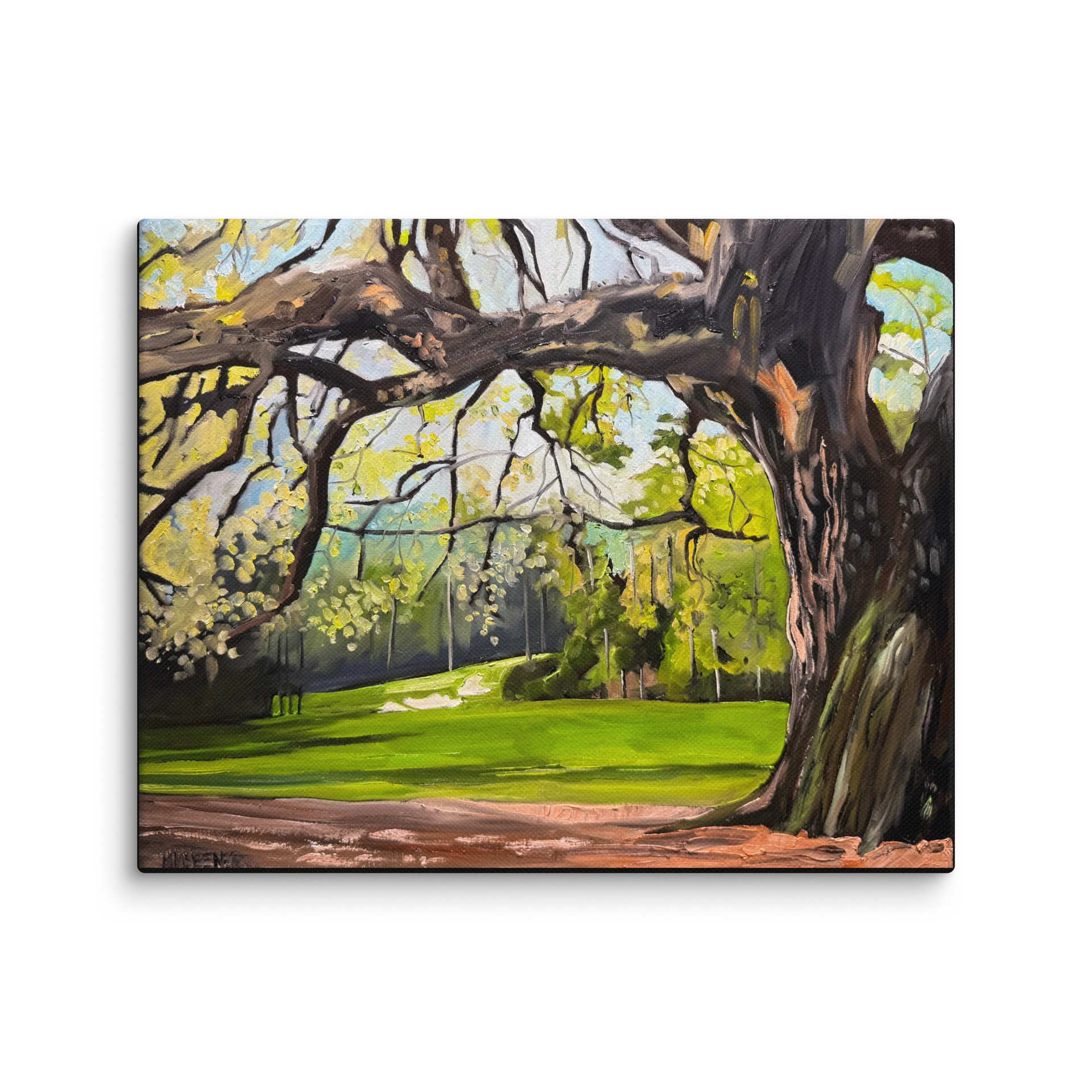 Wide Angle Augusta National No. 11 product image (2)