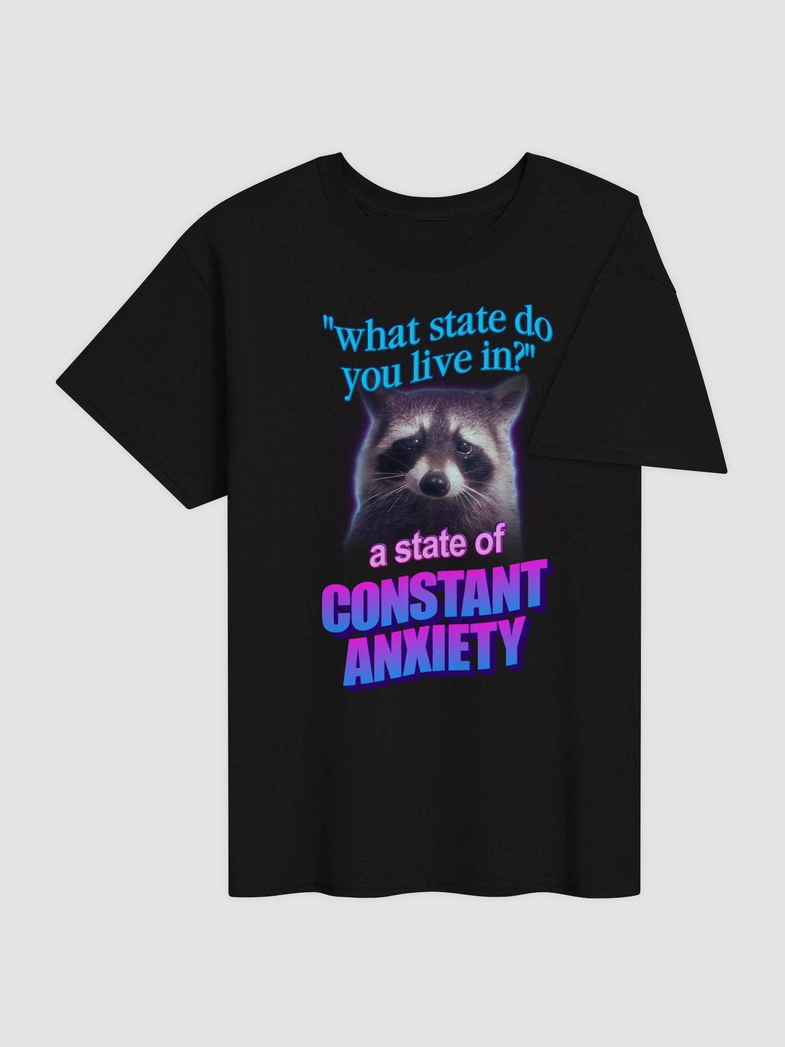 What state do you live in? A state of constant anxiety raccoon T-shirt product image (8)