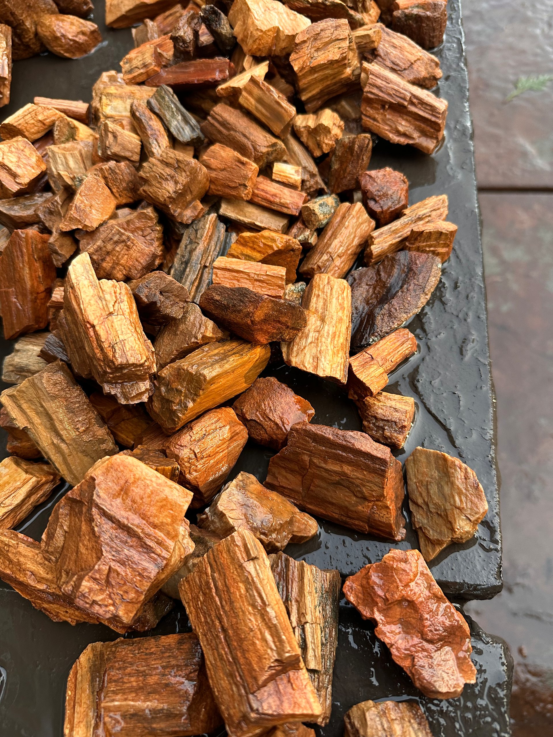 Premium Hand-Sourced Petrified Wood Rough product image (1)